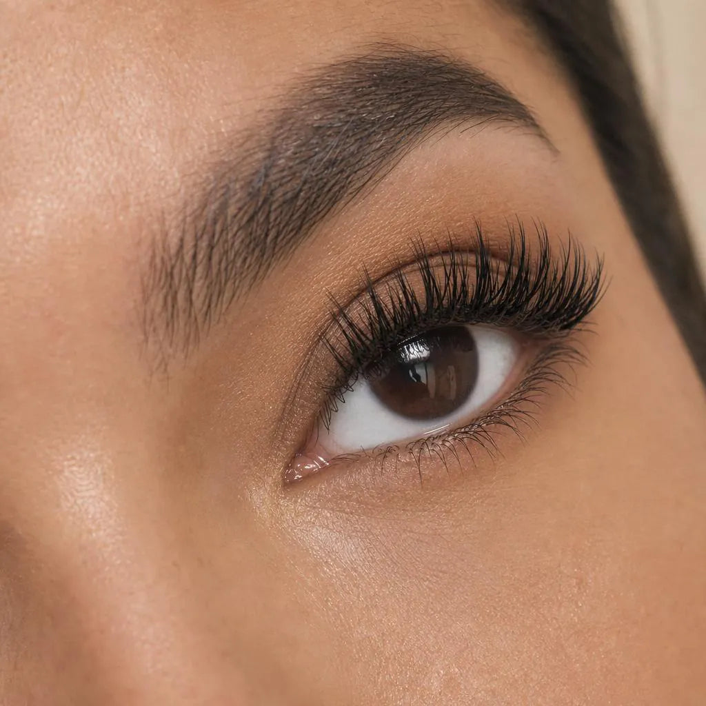 Illustration of the Volume lash cluster style