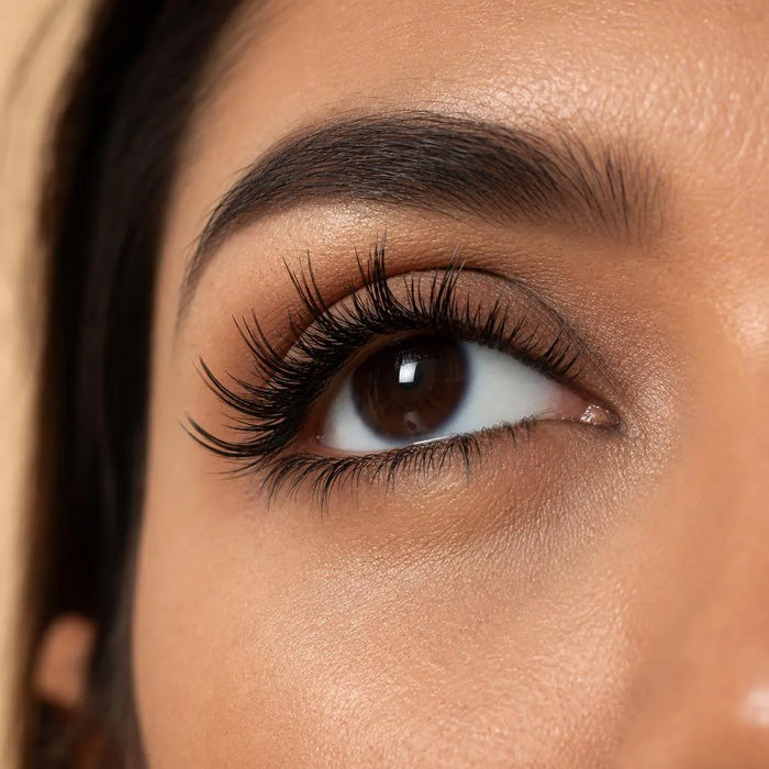 Illustration of the Wispy lash cluster style